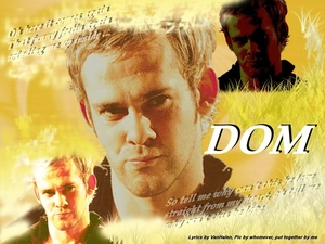 Dominic Monaghan, Light hair
