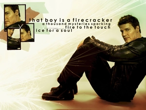 David Boreanaz, Leather jacket
