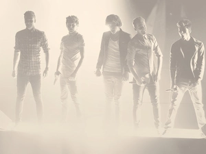 Louis Tomlinson, Zayn Malik, Liam Payne, Niall Horan, One Direction