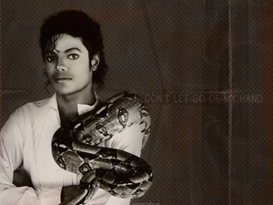 Michael Jackson, Snake