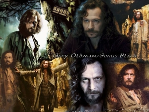 Blue eyes, Gary Oldman, Curly hair