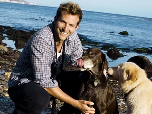 Dogs, Bradley Cooper, sea