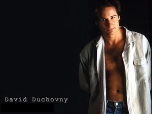 David Duchovny, clear shirt