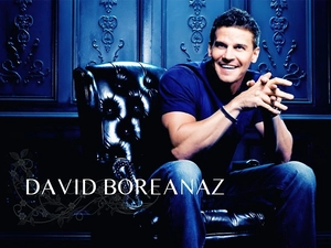 smiling, David Boreanaz
