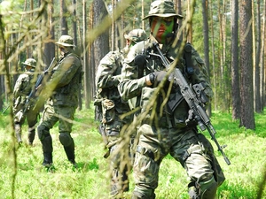 Scouting, ##, Forest, soldiers