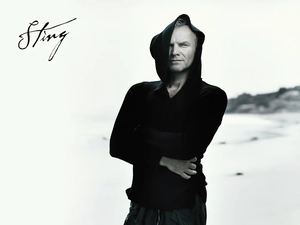 Sting, hood