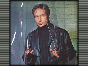 David Duchovny, Black Suit
