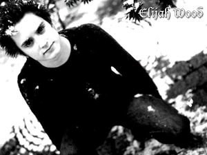 Elijah Wood, dark suit