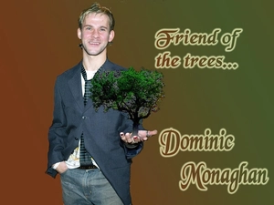 Tie, Dominic Monaghan, trees