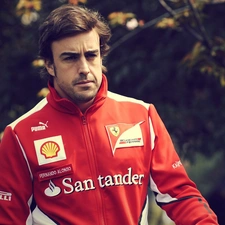 tunic, smock, Sports, blouse, Fernando Alonso
